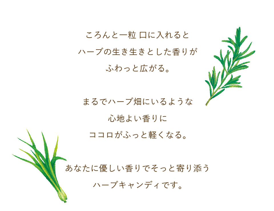 国産素材キャンディ ローズマリー レモングラス